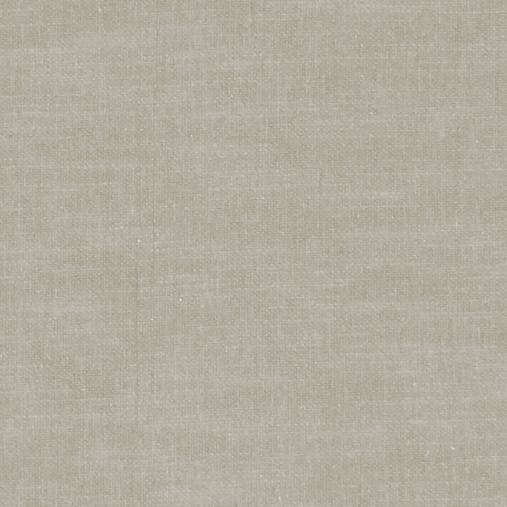 F1239 48 Amalfi Pebble by Clarke and Clarke Fabric CLARKE & CLARKE COTTON - 77%;POLYESTER - 23% India HEAVY Horizontal: 0 and Vertical: 0 54  - Fabric Carolina -
