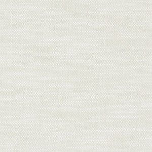 Amalfi Polar by Clarke And Clarke Fabric