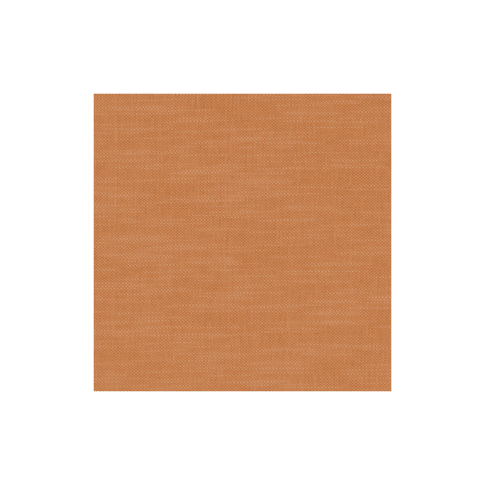Amalfi Pumpkin by Clarke And Clarke Fabric CLARKE & CLARKE AMALFI COTTON - 77%;POLYESTER - 23% India HEAVY Horizontal: 0 and Vertical: 0 54 - Fabric Carolina -