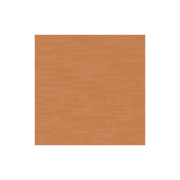 Amalfi Pumpkin by Clarke And Clarke Fabric CLARKE & CLARKE AMALFI COTTON - 77%;POLYESTER - 23% India HEAVY Horizontal: 0 and Vertical: 0 54 - Fabric Carolina -