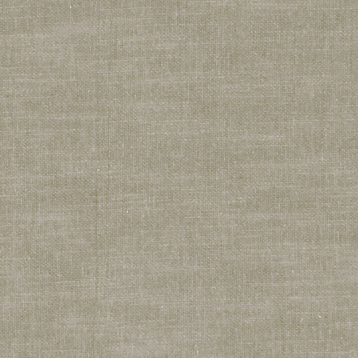 F1239 52 Amalfi Putty by Clarke and Clarke Fabric CLARKE & CLARKE COTTON - 77%;POLYESTER - 23% India HEAVY Horizontal: 0 and Vertical: 0 54  - Fabric Carolina -