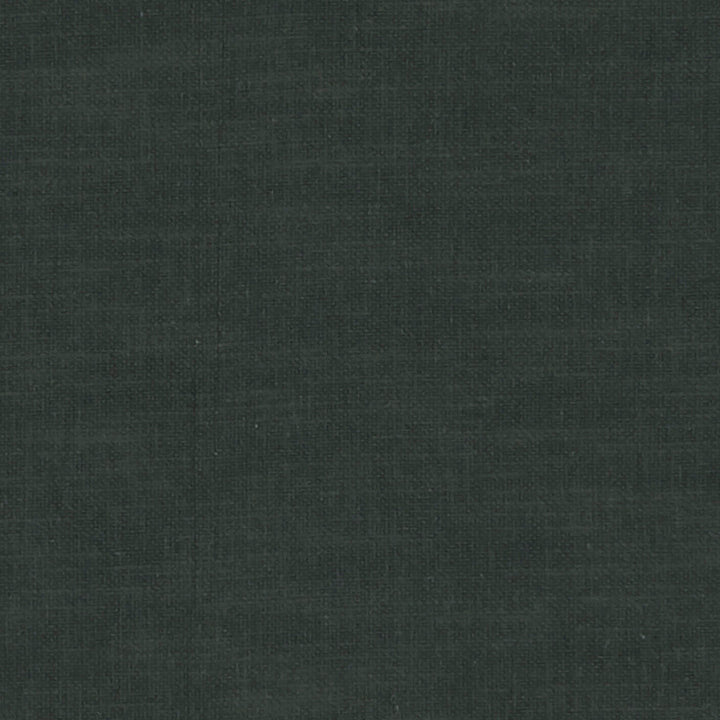 F1239 53 Amalfi Raven by Clarke and Clarke Fabric CLARKE & CLARKE COTTON - 77%;POLYESTER - 23% India HEAVY Horizontal: 0 and Vertical: 0 54  - Fabric Carolina -