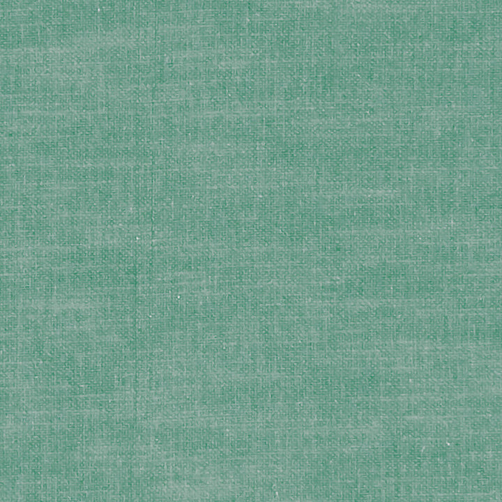 F1239 56 Amalfi Seafoam by Clarke and Clarke Fabric CLARKE & CLARKE COTTON - 77%;POLYESTER - 23% India HEAVY Horizontal: 0 and Vertical: 0 54  - Fabric Carolina -