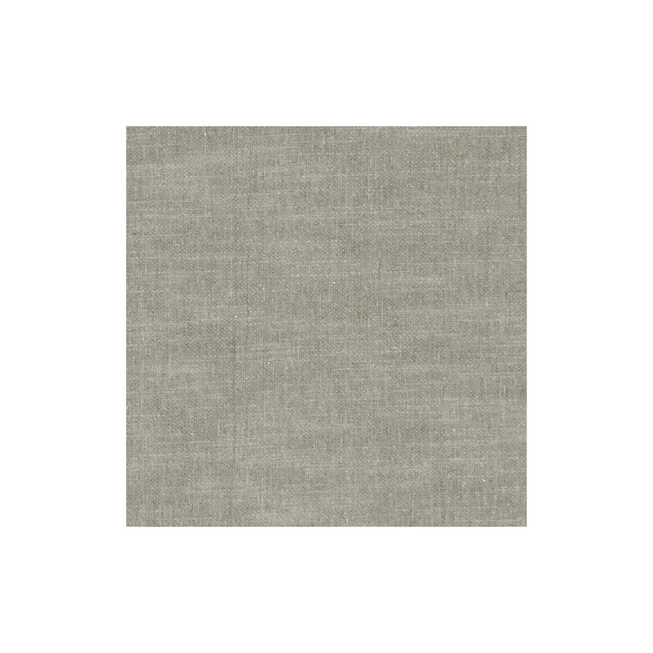 Amalfi Shale by Clarke And Clarke Fabric CLARKE & CLARKE AMALFI COTTON - 77%;POLYESTER - 23% India HEAVY Horizontal: 0 and Vertical: 0 54 - Fabric Carolina -