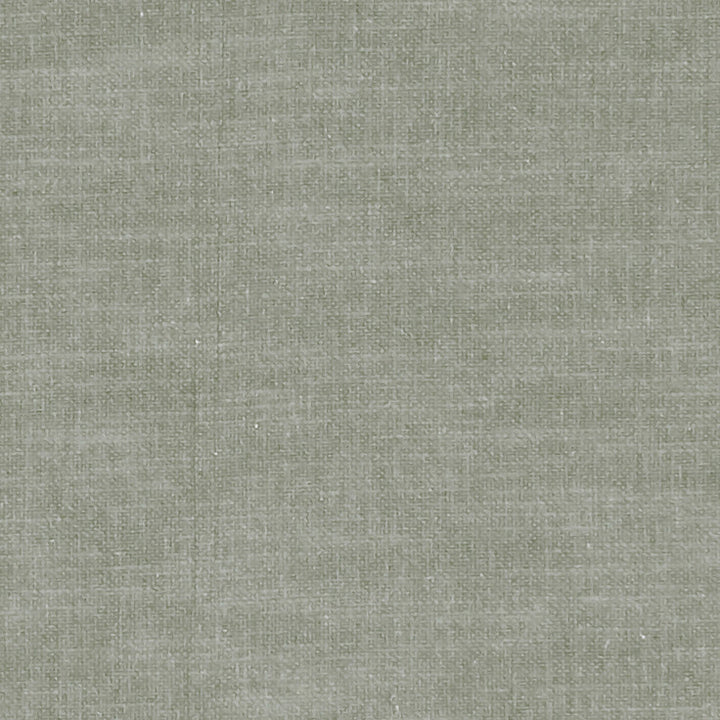 F1239 62 Amalfi Steel by Clarke and Clarke Fabric CLARKE & CLARKE COTTON - 77%;POLYESTER - 23% India HEAVY Horizontal: 0 and Vertical: 0 54  - Fabric Carolina -