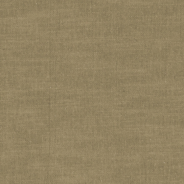 F1239 65 Amalfi Truffle by Clarke and Clarke Fabric CLARKE & CLARKE COTTON - 77%;POLYESTER - 23% India HEAVY Horizontal: 0 and Vertical: 0 54  - Fabric Carolina -