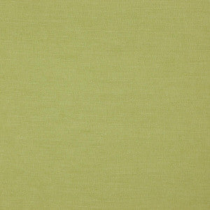 Boston Apple by Clarke And Clarke Fabric