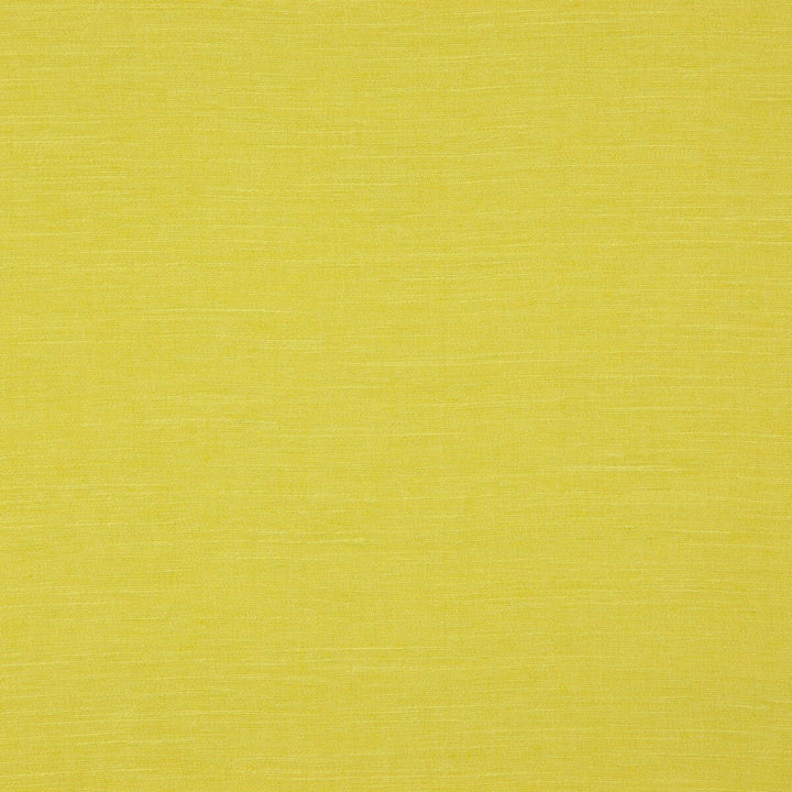 Boston Chartreuse by Clarke And Clarke Fabric Clarke And Clarke Fabric Boston ChartreuseFabric CLARKE & CLARKE BOSTON POLYESTER FR - 100% India </p><p>Repeat: H: , V: 56.75 - Fabric Carolina -