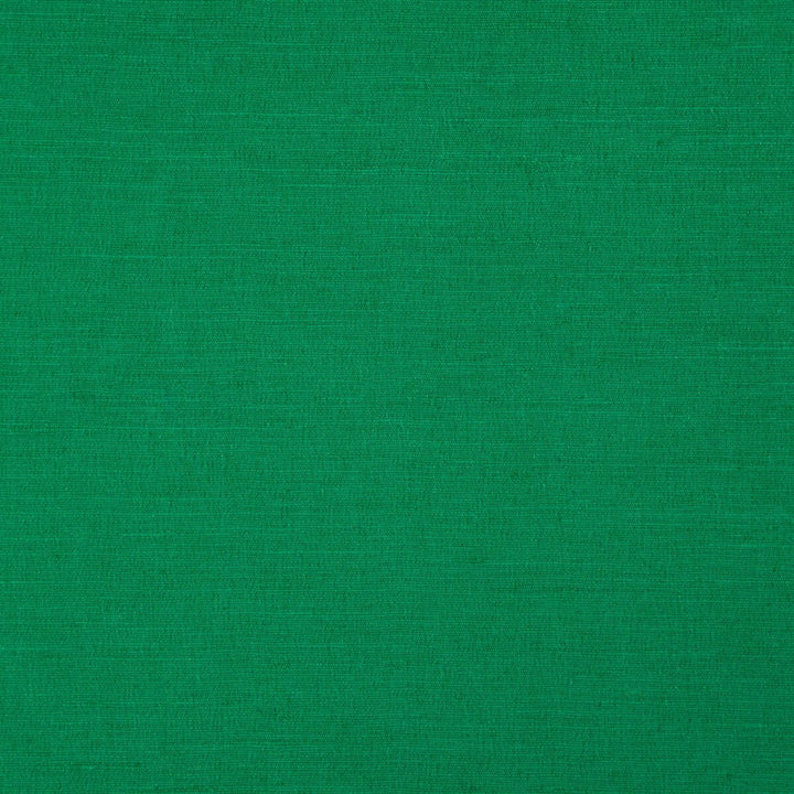 Boston Emerald by Clarke And Clarke Fabric CLARKE & CLARKE BOSTON POLYESTER FR - 100% India HEAVY Horizontal: - and Vertical: - 56.75 - Fabric Carolina -
