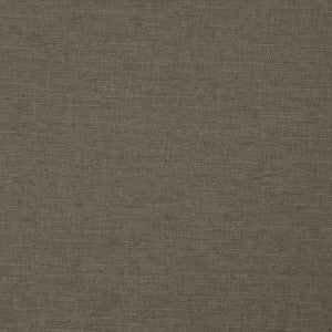 Boston Fossil by Clarke And Clarke Fabric