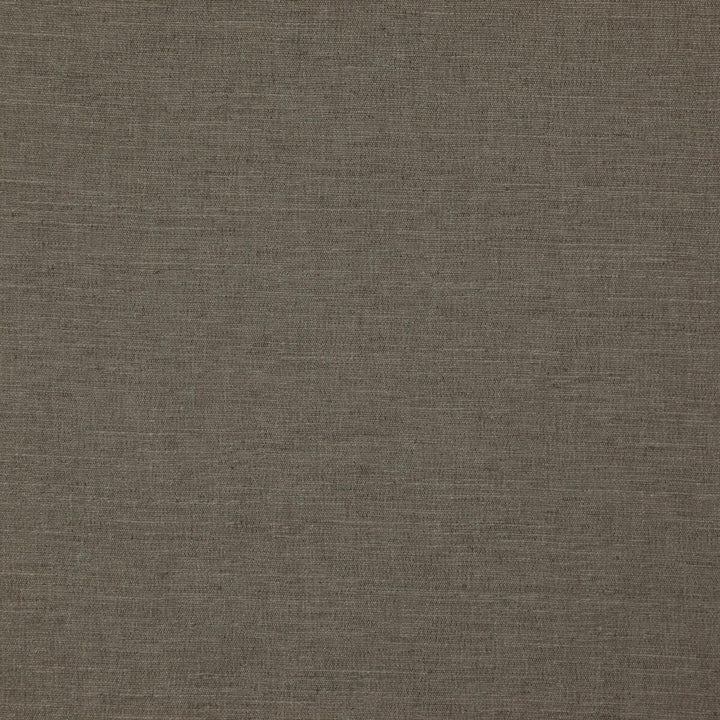 Boston Fossil by Clarke And Clarke Fabric CLARKE & CLARKE BOSTON POLYESTER FR - 100% India HEAVY Horizontal: and Vertical: 56.75 - Fabric Carolina -