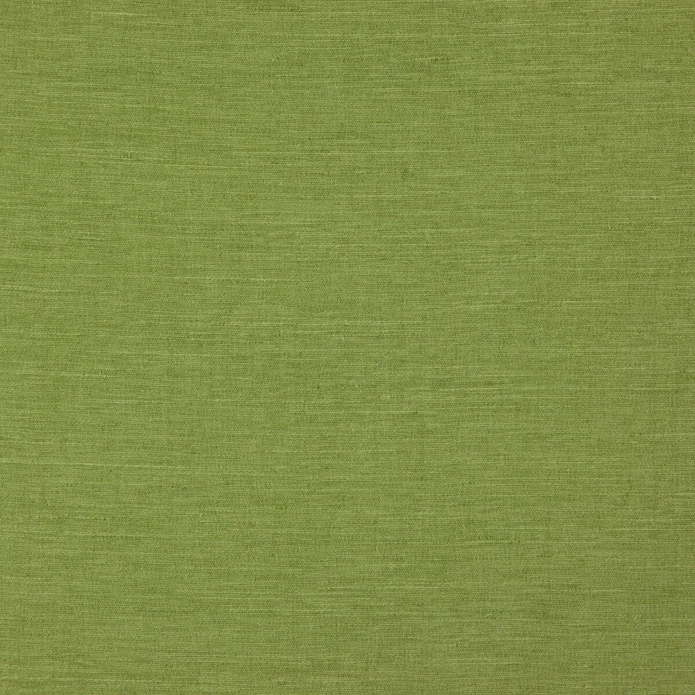 Boston Leaf by Clarke And Clarke Fabric CLARKE & CLARKE BOSTON POLYESTER FR - 100% India HEAVY Horizontal: - and Vertical: - 56.75 - Fabric Carolina -