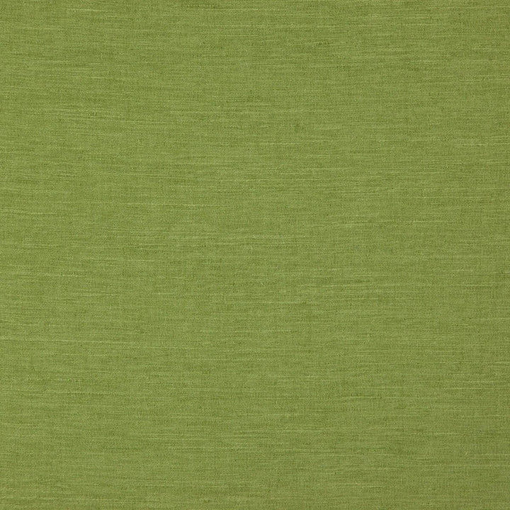 Boston Leaf by Clarke And Clarke Fabric CLARKE & CLARKE BOSTON POLYESTER FR - 100% India HEAVY Horizontal: and Vertical: 56.75 - Fabric Carolina -