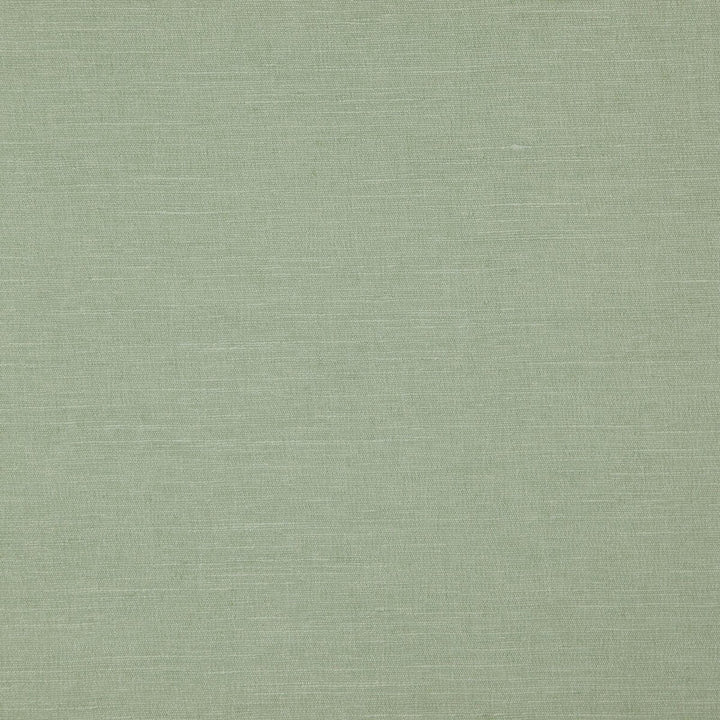 Boston Thyme by Clarke And Clarke Fabric CLARKE & CLARKE BOSTON POLYESTER FR - 100% India HEAVY Horizontal: - and Vertical: - 56.75 - Fabric Carolina -