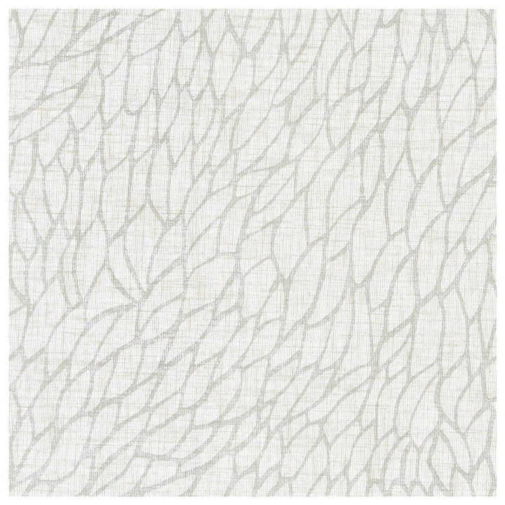 Corallino Sheer Chalk/Silver by Clarke And Clarke Fabric CLARKE & CLARKE LUSSO SHEERS POLYESTER - 100% Turkey - Horizontal: 9.84 and Vertical: 22.05 117 - Fabric Carolina -