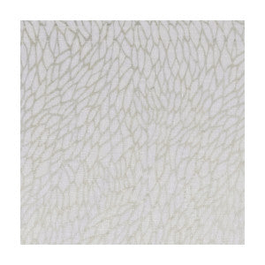 Corallino Sheer Champagne/Gold by Clarke And Clarke Fabric