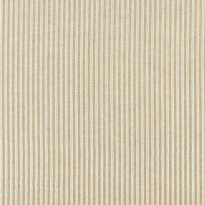 Matteo Champagne by Clarke And Clarke Fabric CLARKE & CLARKE LUSSO SHEERS POLYESTER - 100% Turkey Horizontal: 0.35 and Vertical: 0 121 - Fabric Carolina -