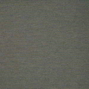 Matteo Midnight/Gold by Clarke And Clarke Fabric