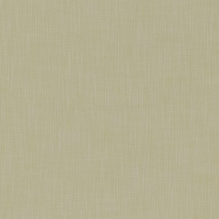 Heaton Fr Citron by Clarke And Clarke Fabric CLARKE & CLARKE HEATON POLYESTER FR - 100% Turkey HEAVY Horizontal: - and Vertical: - 54 - Fabric Carolina -