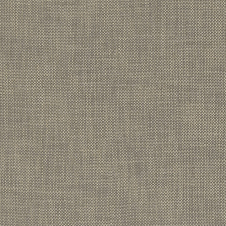 Heaton Fr Mink by Clarke And Clarke Fabric CLARKE & CLARKE HEATON POLYESTER FR - 100% Turkey HEAVY Horizontal: and Vertical: 54 - Fabric Carolina -