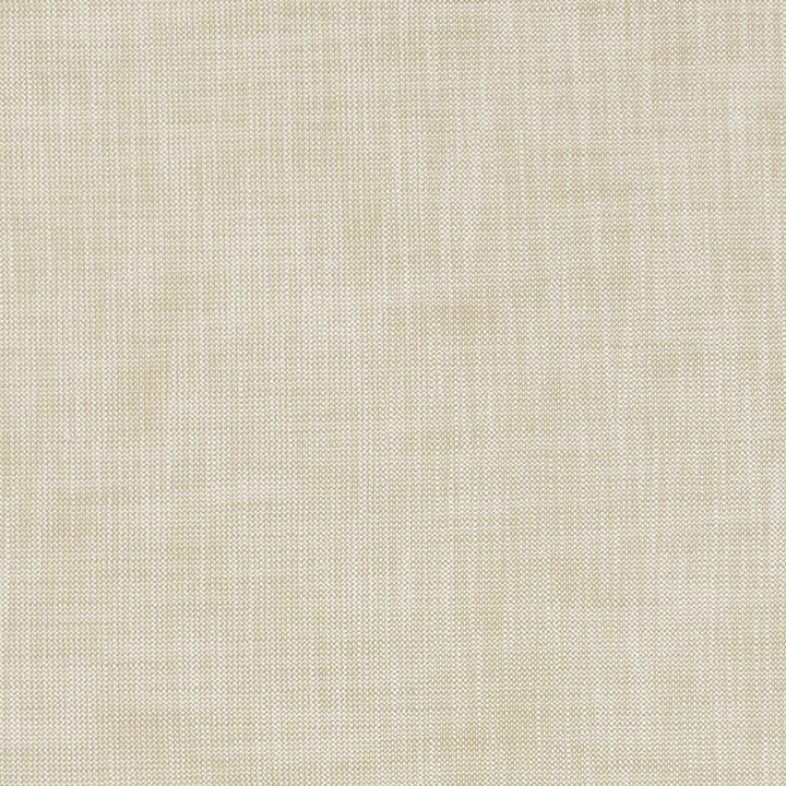 Heaton Fr Natural by Clarke And Clarke Fabric CLARKE & CLARKE HEATON POLYESTER FR - 100% Turkey HEAVY Horizontal: - and Vertical: - 54 - Fabric Carolina -