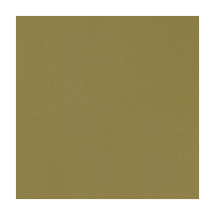 Novara Antique by Clarke And Clarke Fabric CLARKE & CLARKE NOVARA COTTON - 65%;POLYESTER - 35% India - Horizontal: - and Vertical: - 114.25 - Fabric Carolina -