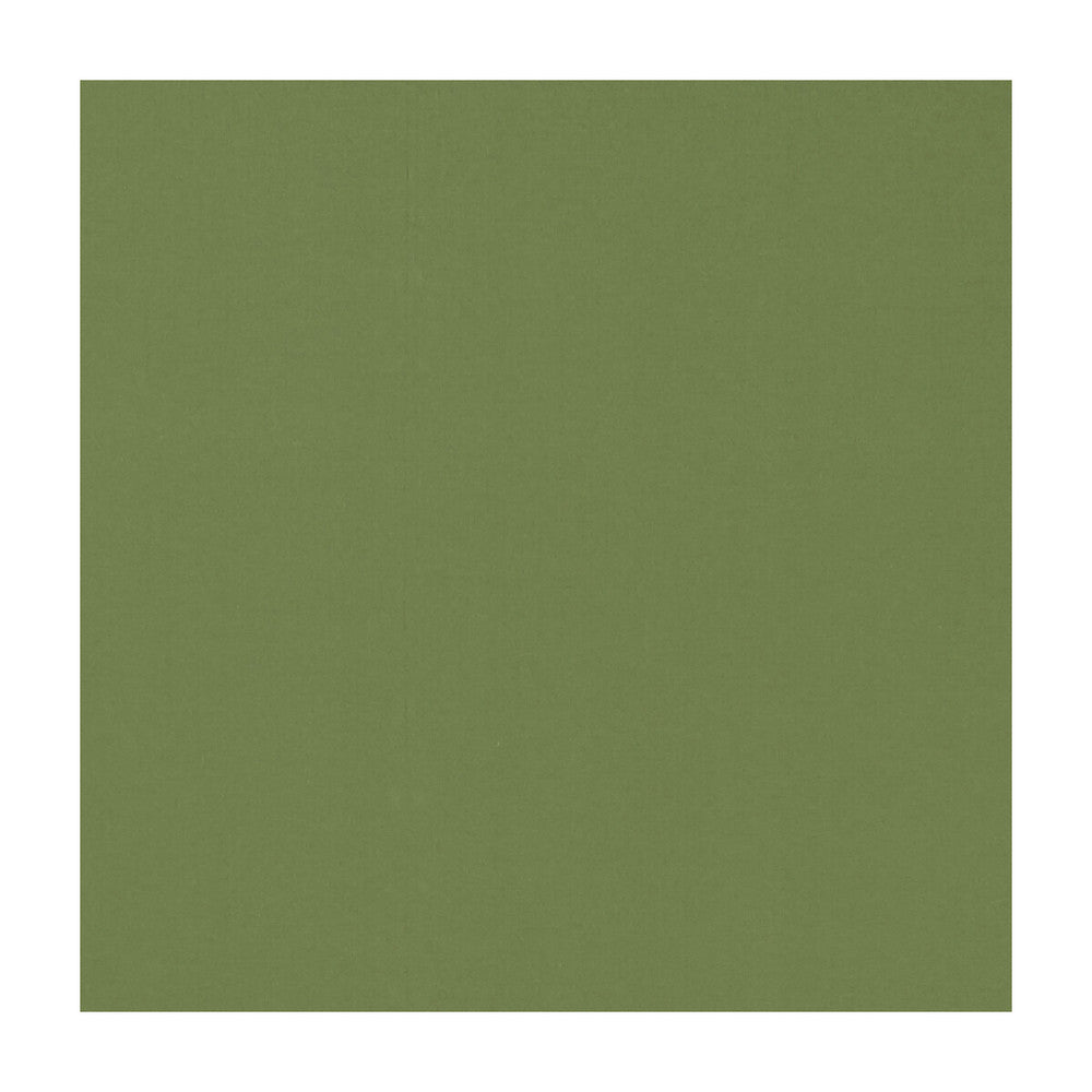 Novara Apple by Clarke And Clarke Fabric CLARKE & CLARKE NOVARA COTTON - 65%;POLYESTER - 35% India - Horizontal: - and Vertical: - 114.25 - Fabric Carolina -