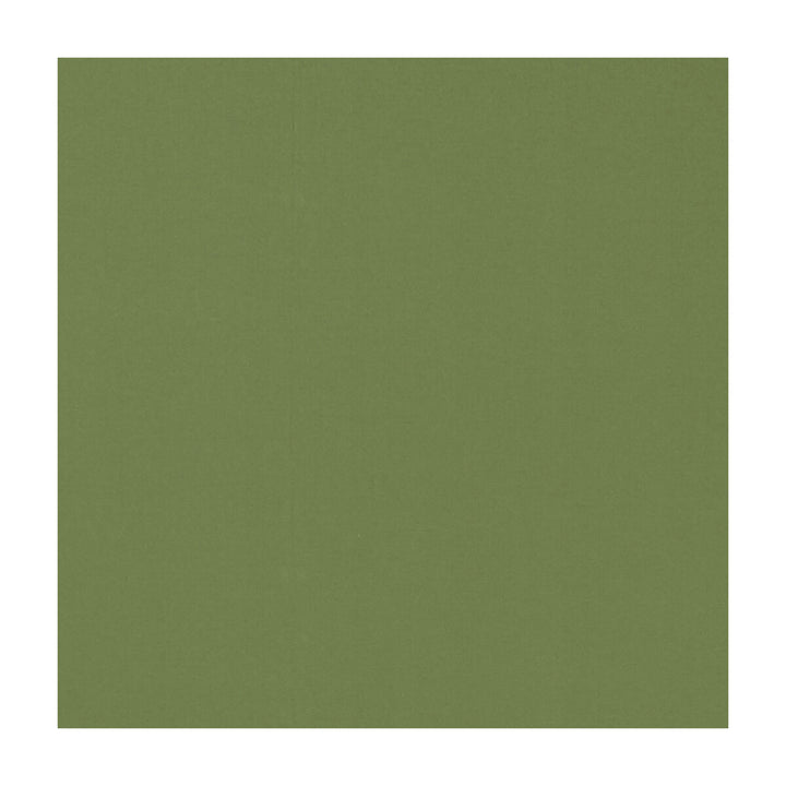 Novara Apple by Clarke And Clarke Fabric CLARKE & CLARKE NOVARA COTTON - 65%;POLYESTER - 35% India - Horizontal: - and Vertical: - 114.25 - Fabric Carolina -