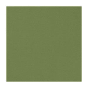Novara Apple by Clarke And Clarke Fabric