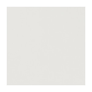 Novara Birch by Clarke And Clarke Fabric