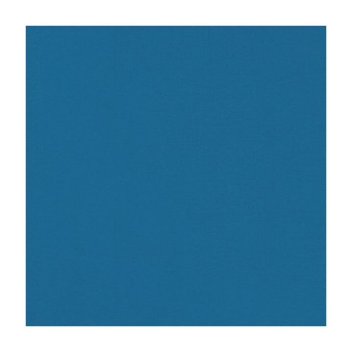 Novara Bluebird by Clarke And Clarke Designer Fabric CLARKE & CLARKE NOVARA COTTON - 65%;POLYESTER - 35% India Horizontal: and Vertical: 114.25 - Swanky Fabrics -