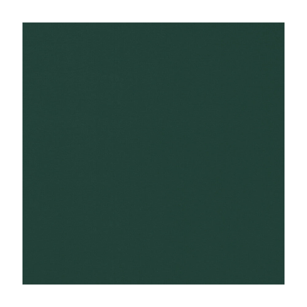 Novara Emerald by Clarke And Clarke Fabric CLARKE & CLARKE NOVARA COTTON - 65%;POLYESTER - 35% India Horizontal: and Vertical: 114.25 - Fabric Carolina -