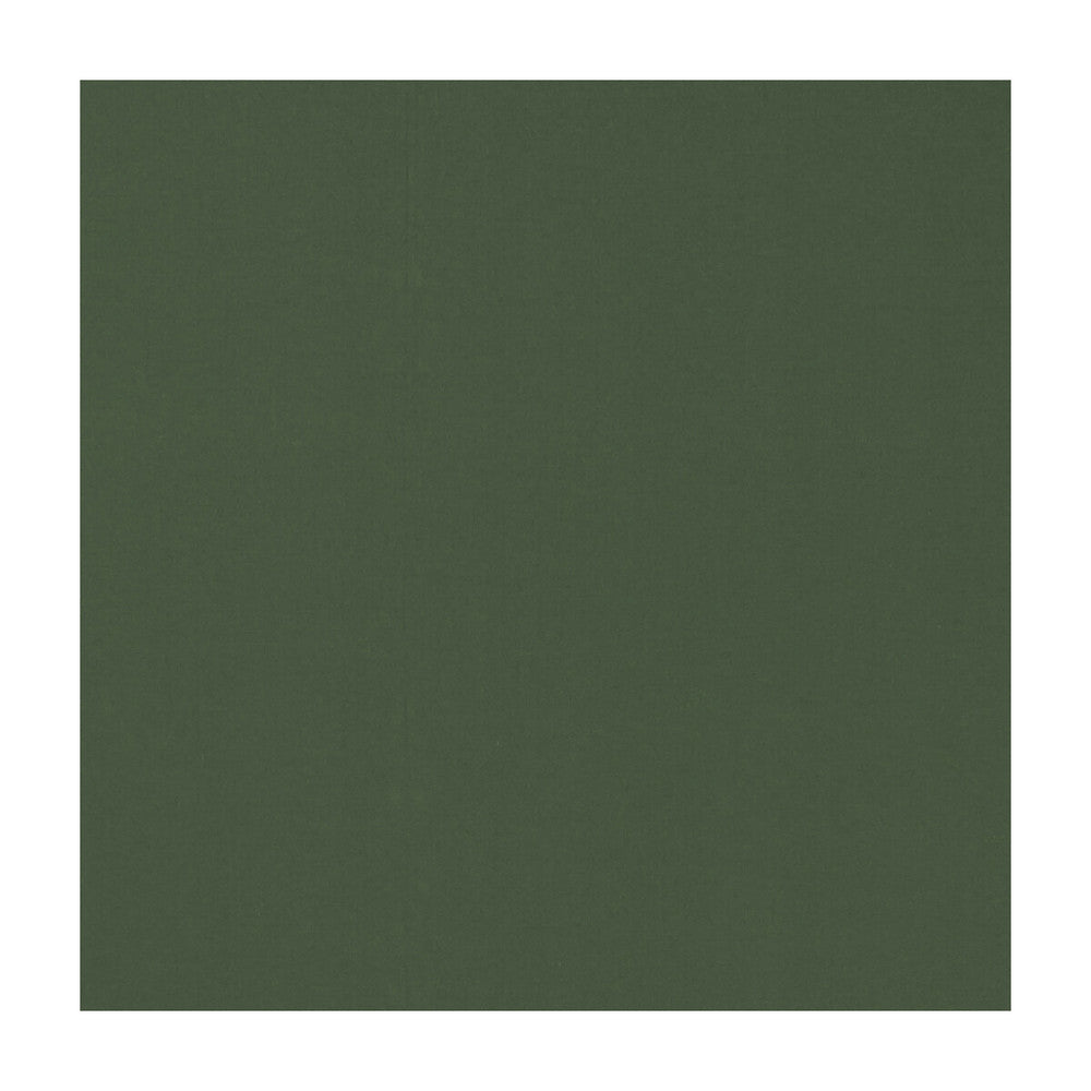 Novara Forest by Clarke And Clarke Fabric CLARKE & CLARKE NOVARA COTTON - 65%;POLYESTER - 35% India - Horizontal: - and Vertical: - 114.25 - Fabric Carolina -