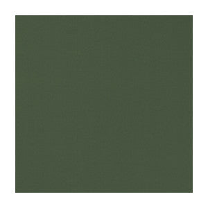 Novara Forest by Clarke And Clarke Fabric