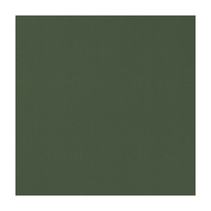 Novara Forest by Clarke And Clarke Fabric CLARKE & CLARKE NOVARA COTTON - 65%;POLYESTER - 35% India Horizontal: and Vertical: 114.25 - Fabric Carolina -