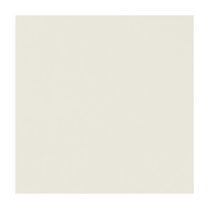 Novara Ivory by Clarke And Clarke Fabric