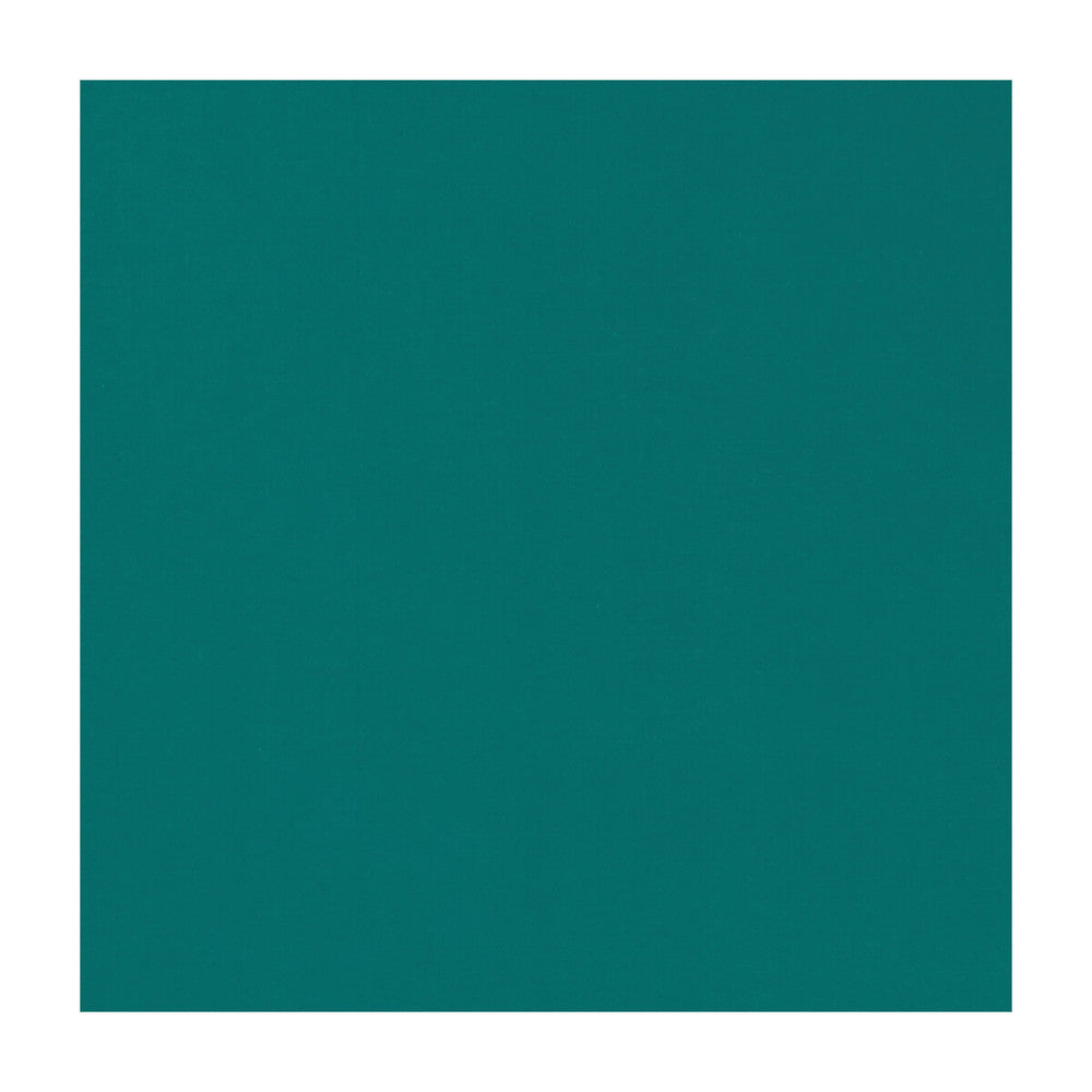 Novara Jade by Clarke And Clarke Fabric CLARKE & CLARKE NOVARA COTTON - 65%;POLYESTER - 35% India - Horizontal: - and Vertical: - 114.25 - Fabric Carolina -