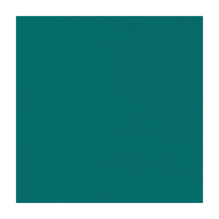 Novara Jade by Clarke And Clarke Fabric CLARKE & CLARKE NOVARA COTTON - 65%;POLYESTER - 35% India Horizontal: and Vertical: 114.25 - Fabric Carolina -