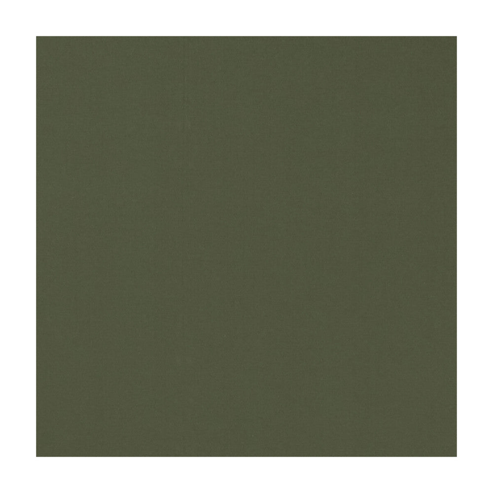 Novara Khaki by Clarke And Clarke Fabric CLARKE & CLARKE NOVARA COTTON - 65%;POLYESTER - 35% India - Horizontal: - and Vertical: - 114.25 - Fabric Carolina -