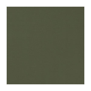 Novara Khaki by Clarke And Clarke Fabric