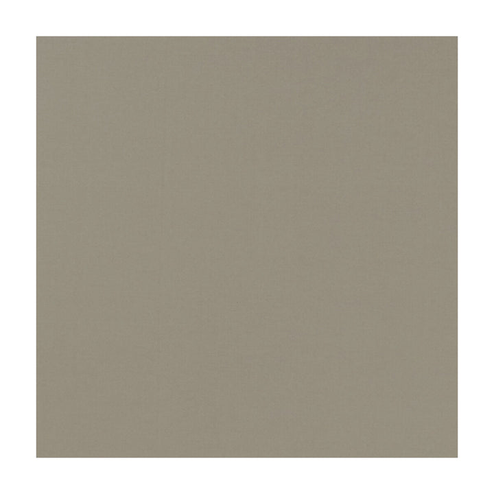 Novara Latte by Clarke And Clarke Fabric Clarke And Clarke Fabric Novara LatteFabric CLARKE & CLARKE NOVARA COTTON - 65%;POLYESTER - 35% India </p><p>Repeat: H: , V: 114.25 - Fabric Carolina -