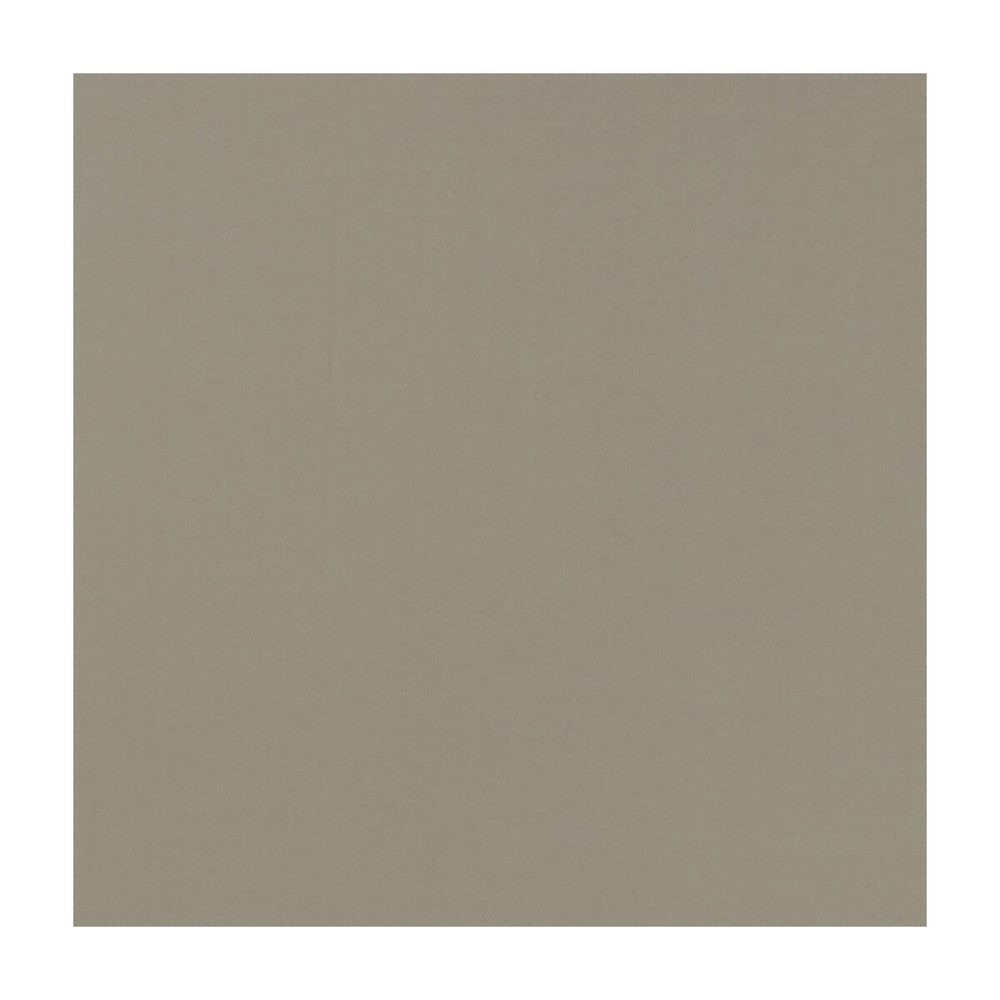 Novara Latte by Clarke And Clarke Fabric CLARKE & CLARKE NOVARA COTTON - 65%;POLYESTER - 35% India Horizontal: and Vertical: 114.25 - Fabric Carolina -