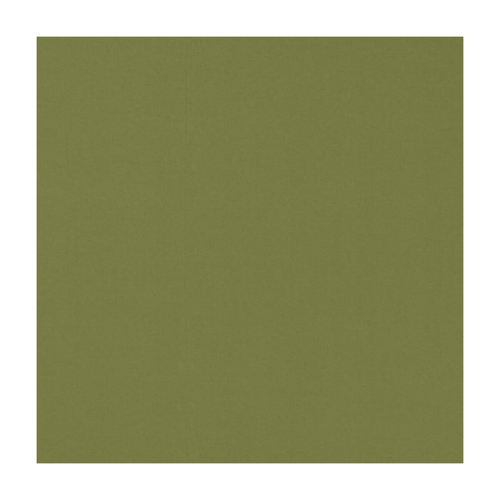 Novara Leaf by Clarke And Clarke Fabric CLARKE & CLARKE NOVARA COTTON - 65%;POLYESTER - 35% India - Horizontal: - and Vertical: - 114.25 - Fabric Carolina -