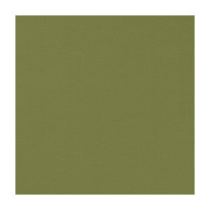 Novara Leaf by Clarke And Clarke Fabric