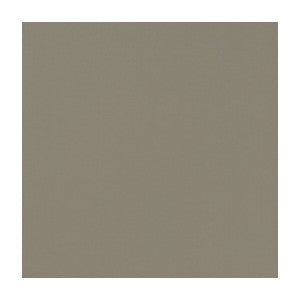 Novara Mocha by Clarke And Clarke Fabric