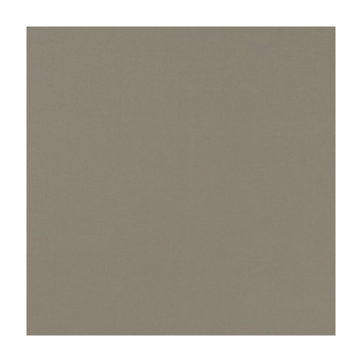 Novara Mocha by Clarke And Clarke Fabric CLARKE & CLARKE NOVARA COTTON - 65%;POLYESTER - 35% India Horizontal: and Vertical: 114.25 - Fabric Carolina -