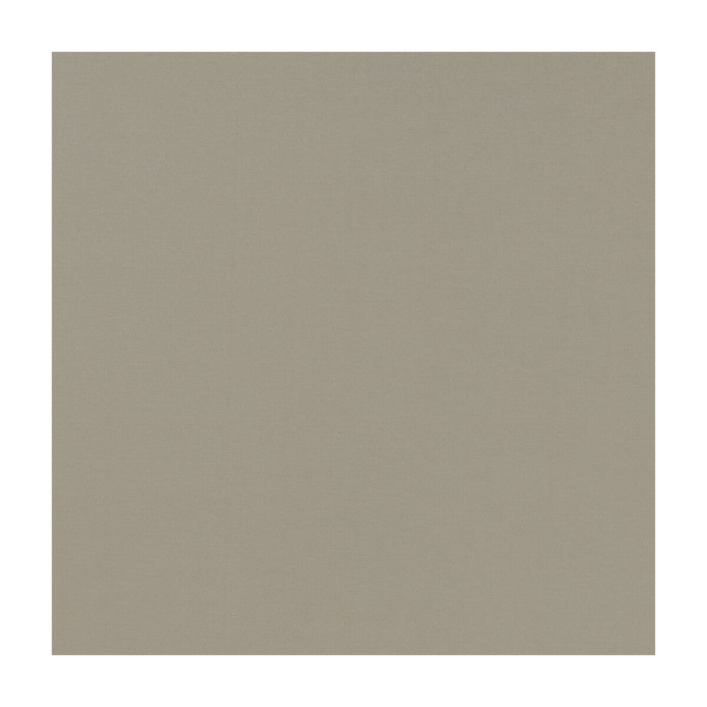 Novara Mushroom by Clarke And Clarke Fabric CLARKE & CLARKE NOVARA COTTON - 65%;POLYESTER - 35% India - Horizontal: - and Vertical: - 114.25 - Fabric Carolina -