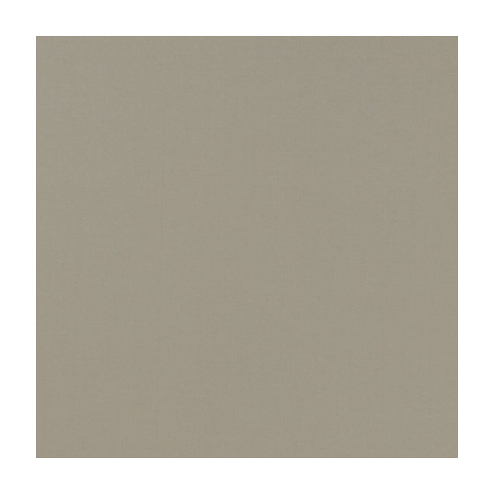 Novara Mushroom by Clarke And Clarke Fabric CLARKE & CLARKE NOVARA COTTON - 65%;POLYESTER - 35% India - Horizontal: - and Vertical: - 114.25 - Fabric Carolina -