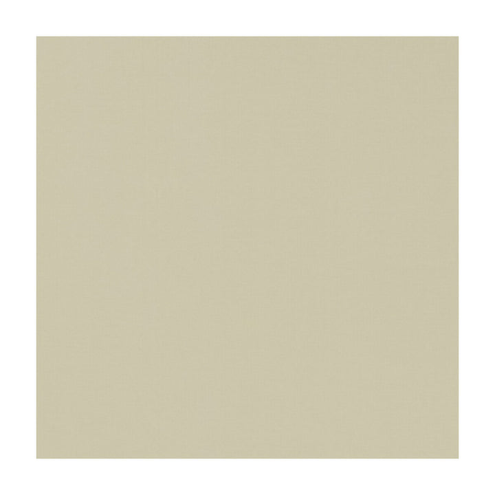 Novara Natural by Clarke And Clarke Fabric CLARKE & CLARKE NOVARA COTTON - 65%;POLYESTER - 35% India - Horizontal: - and Vertical: - 114.25 - Fabric Carolina -