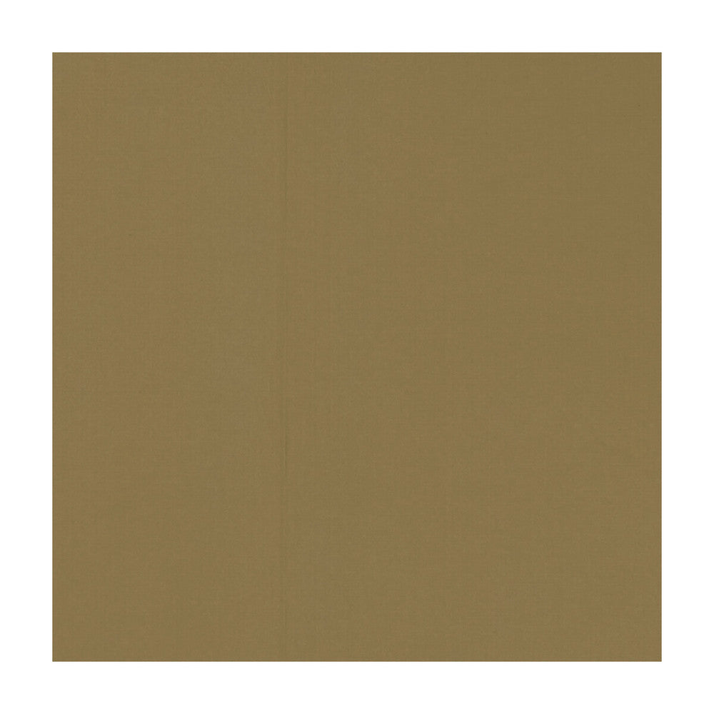 Novara Nutmeg by Clarke And Clarke Fabric CLARKE & CLARKE NOVARA COTTON - 65%;POLYESTER - 35% India Horizontal: and Vertical: 114.25 - Fabric Carolina -